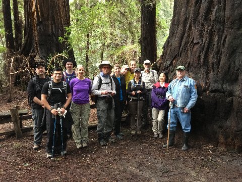Happy hikers gathered around a huge redwood tree in Henry Cowell Redwoods State Park during a hike led by Julie Burillo.