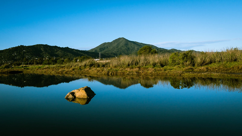 Mount Tamalpais from Corte Madera Marsh