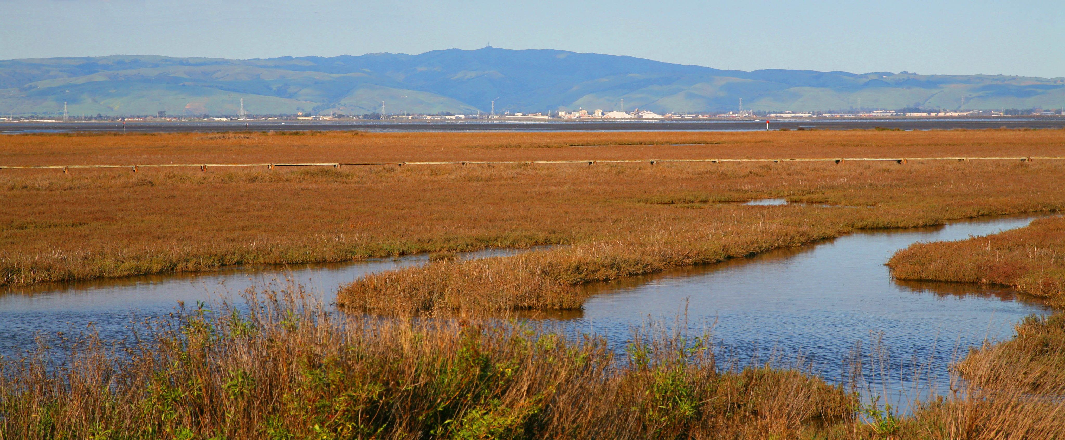 Wetlands in Palo Alto