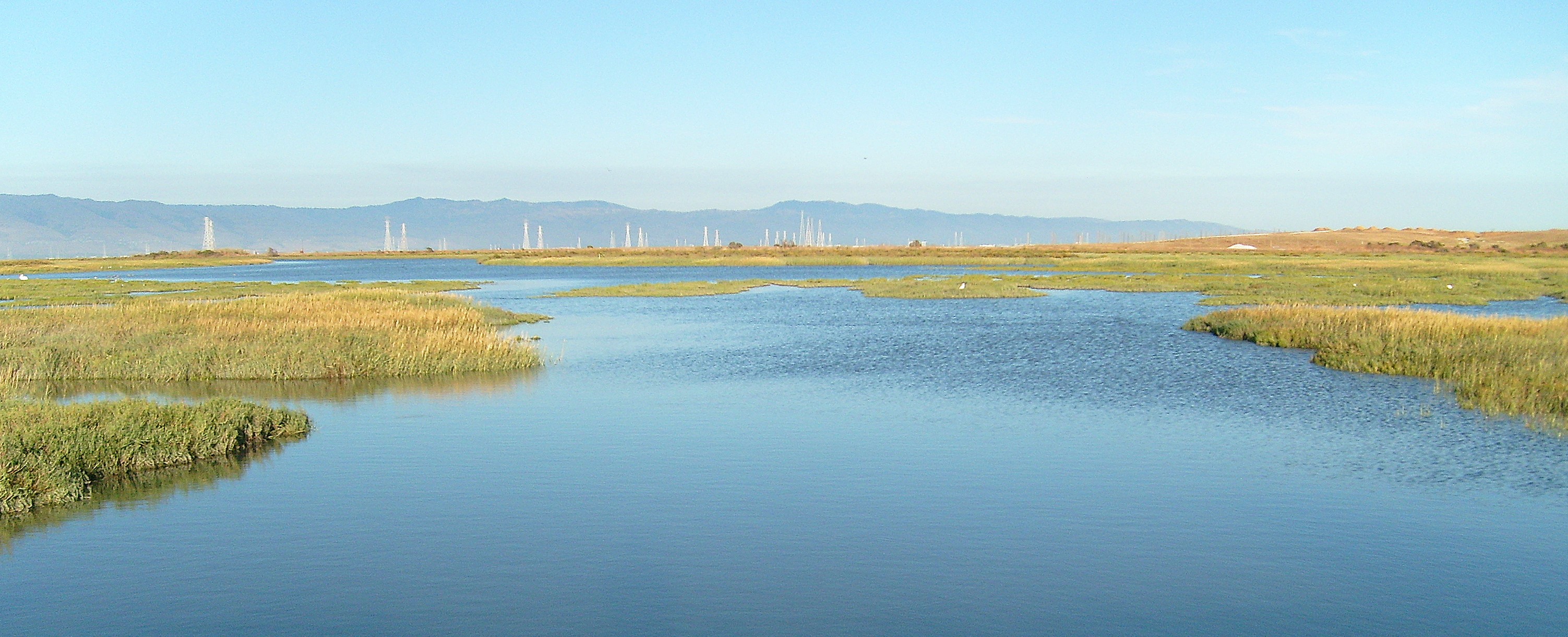 A wideshot of the marshlands connected to the SF Bay near Palo Alto, CA