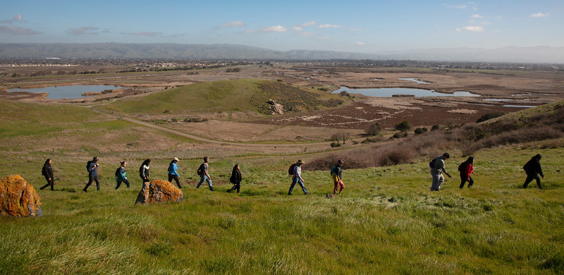 A snapshot of an ICO outing.