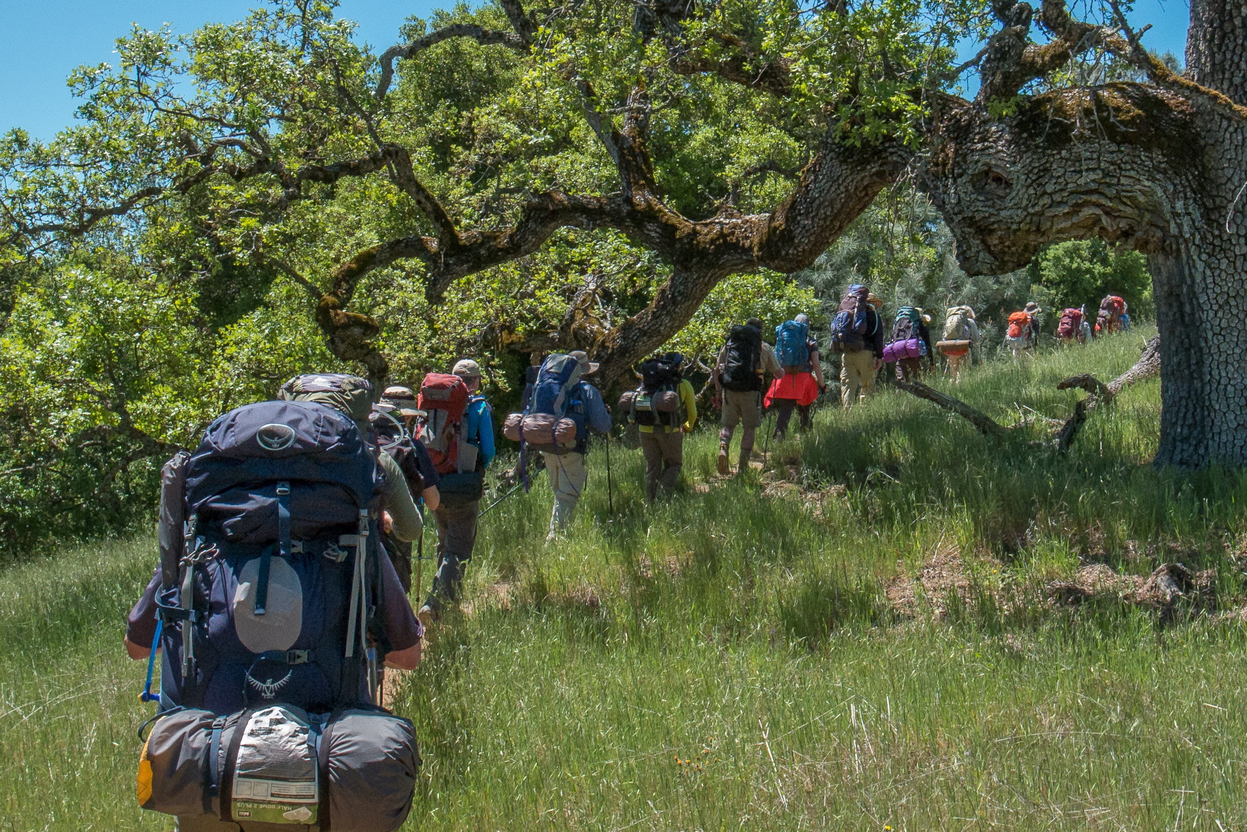 A group of backpackers hiking through the wilderness