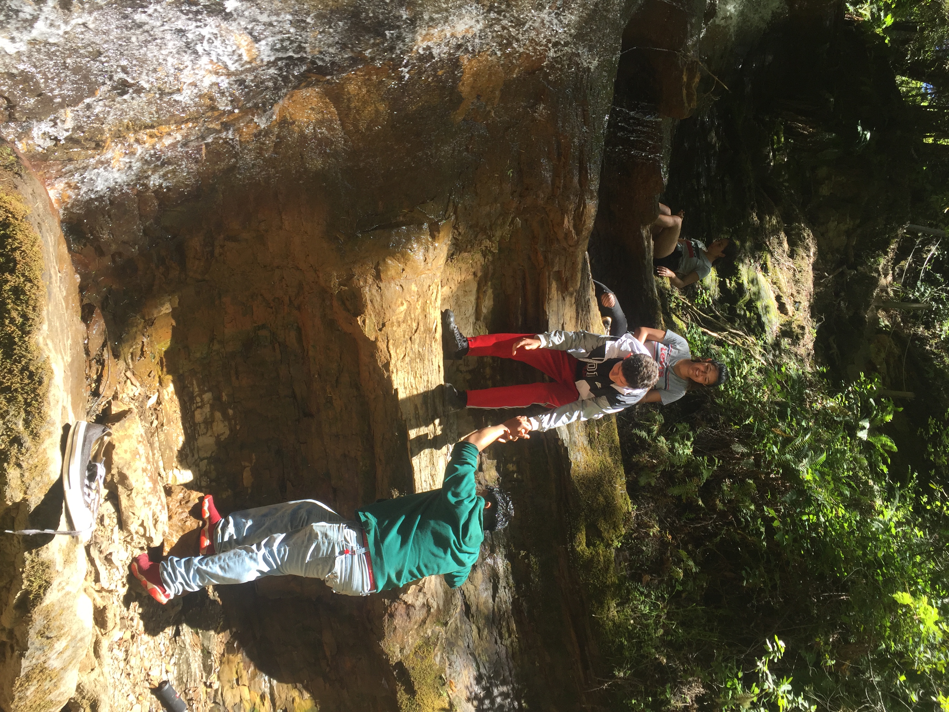 A snapshot of an ICO outing.