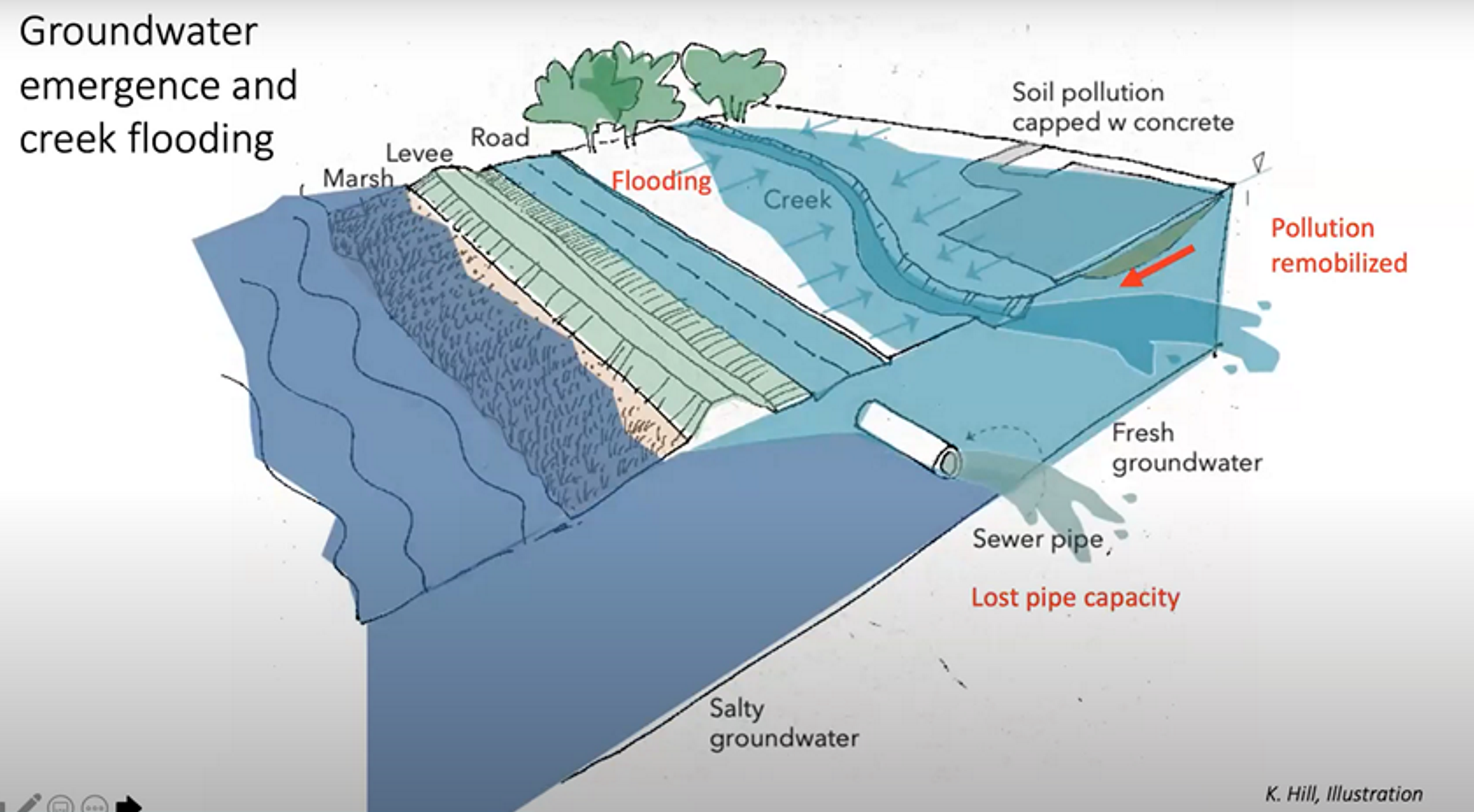 Slide from Dr. Kristina Hill's presentation with a diagram of groundwater rise