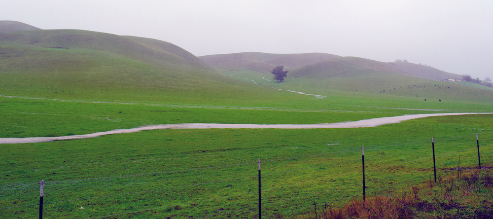 Undeveloped green land of Tassajara Parks site