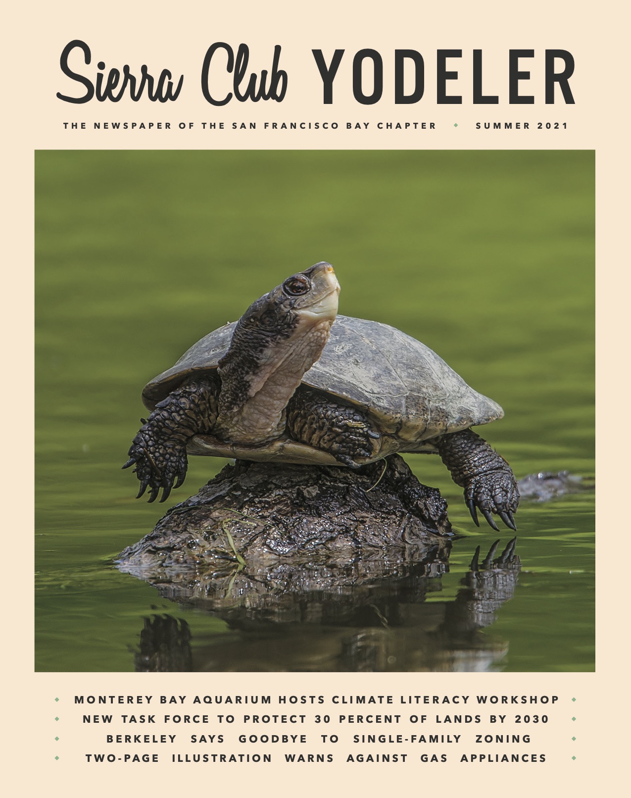 Front cover of Summer 2021 issue of the Yodeler with a western pond turtle on the cover.
