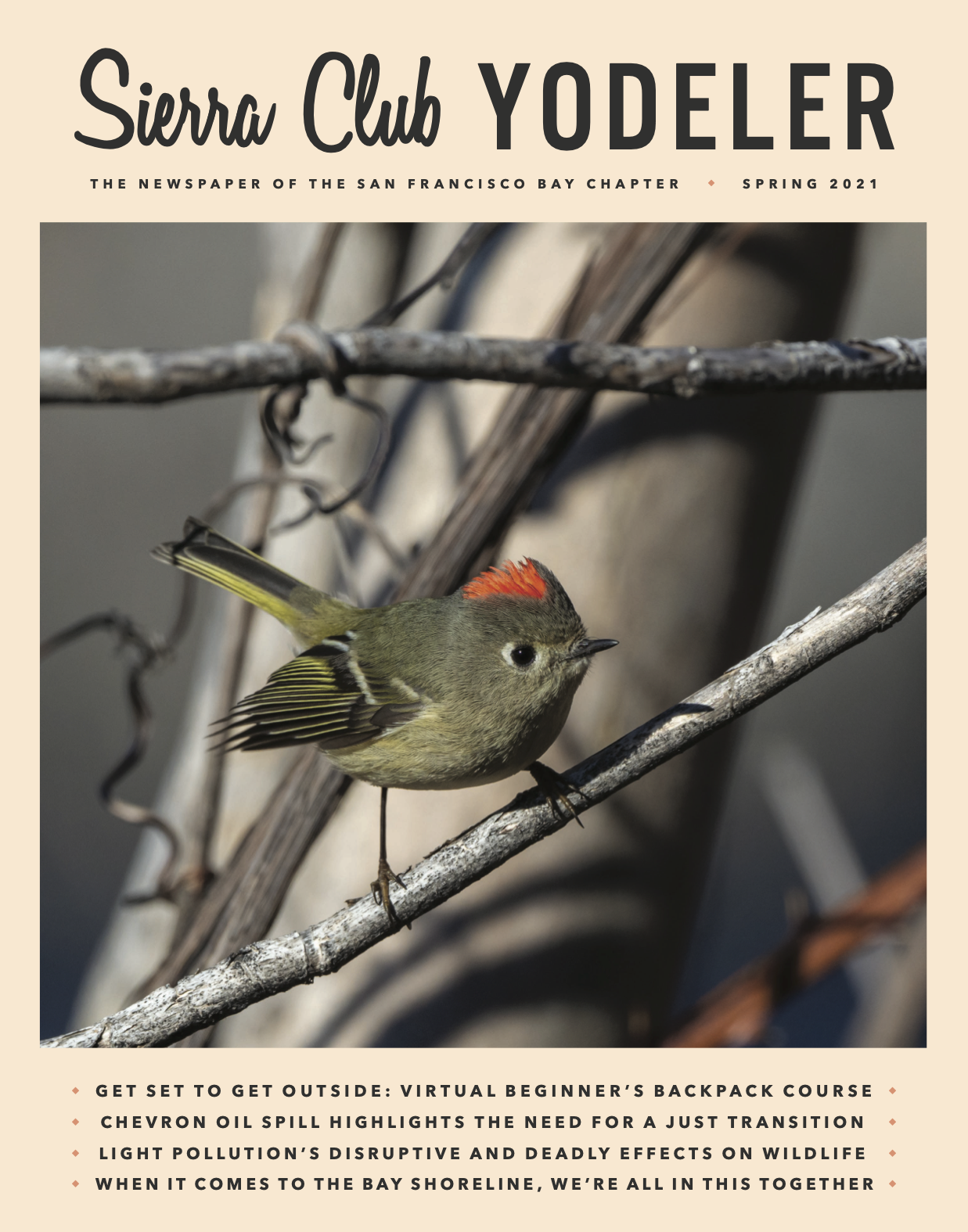 Front cover of Spring 2021 issue of the Yodeler with a ruby-crowned kinglet on the cover.