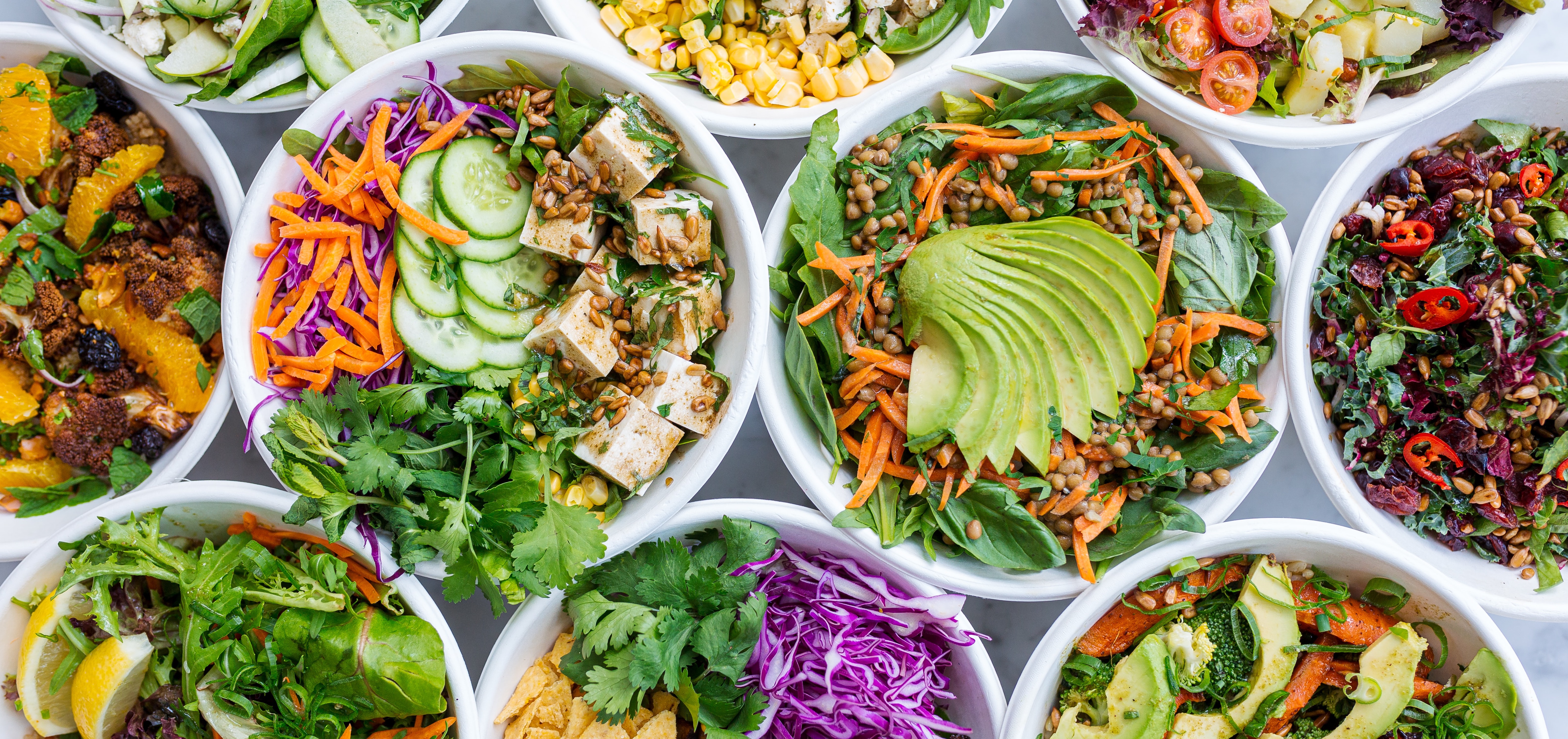 Bowls of salad with fresh and plant-based ingredients