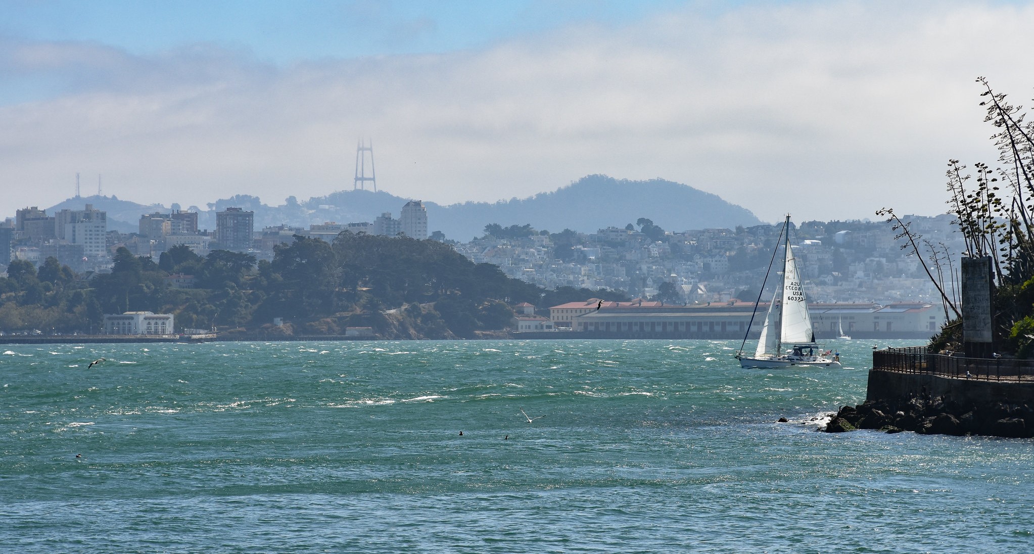 San Francisco Bay waters with a sailboat sailing across and Alcatraz island in the background.