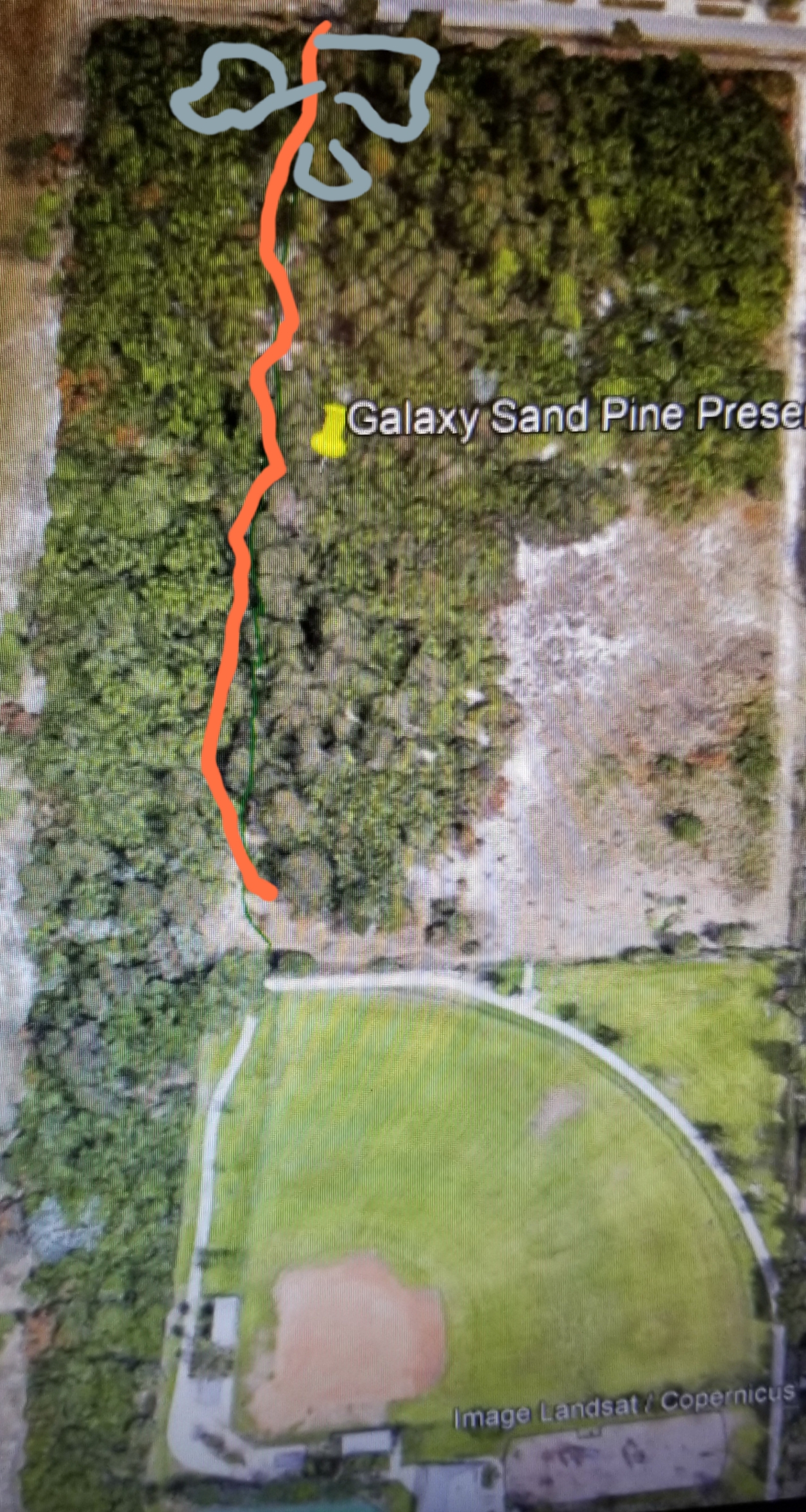 Map of the burn at Galaxy Sand Pine Preserve
