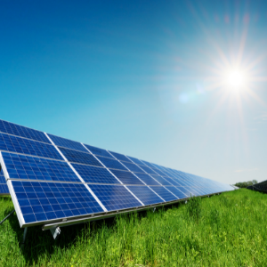 solar panel farm
