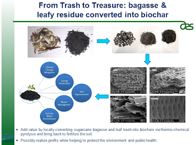 From Trash to Treasure