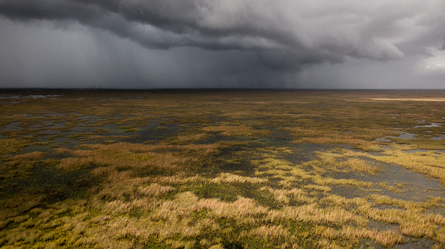 Sawgrass prairies in the central Everglades