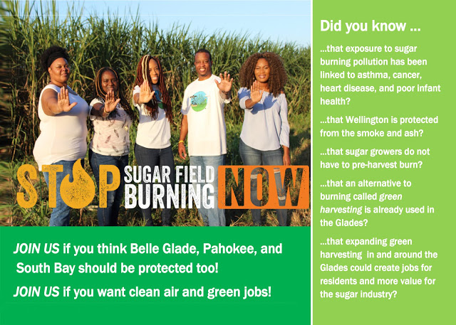 Stop the Burn mailer