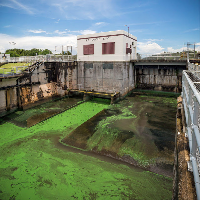 St. Lucie Lock