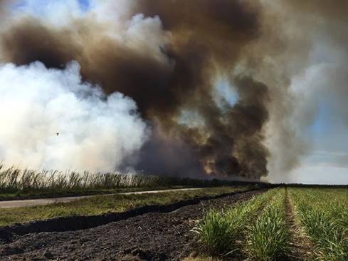 Smoke burning in field