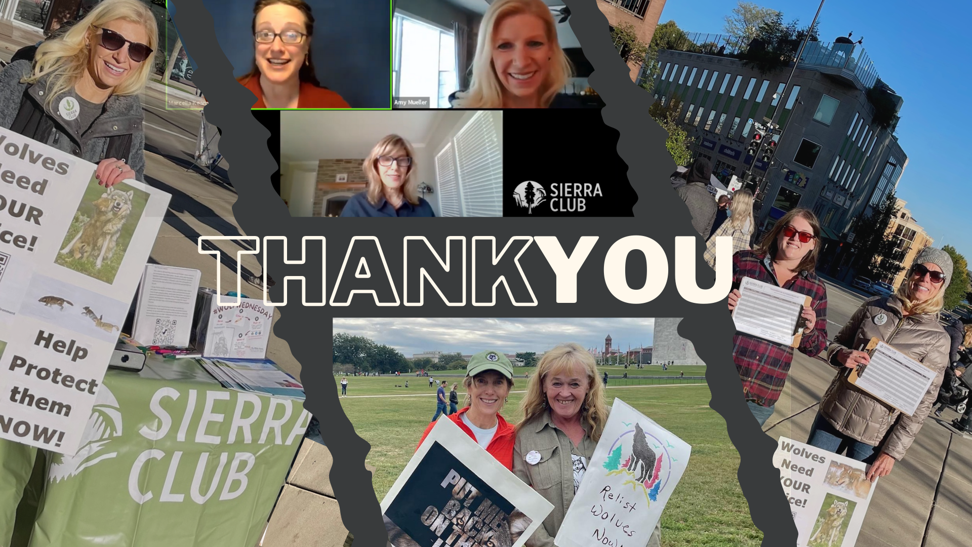 Wolf Awareness Week Thank You