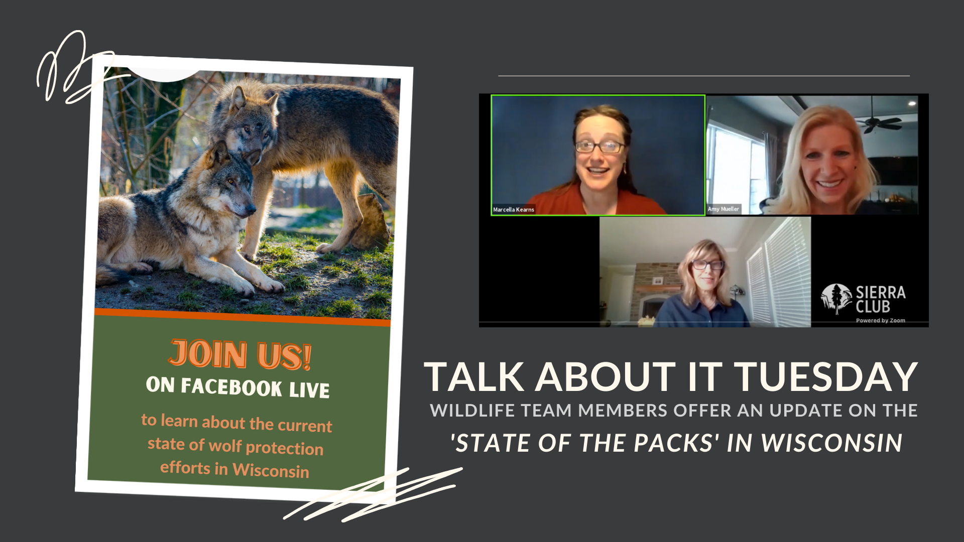 State of the Packs update