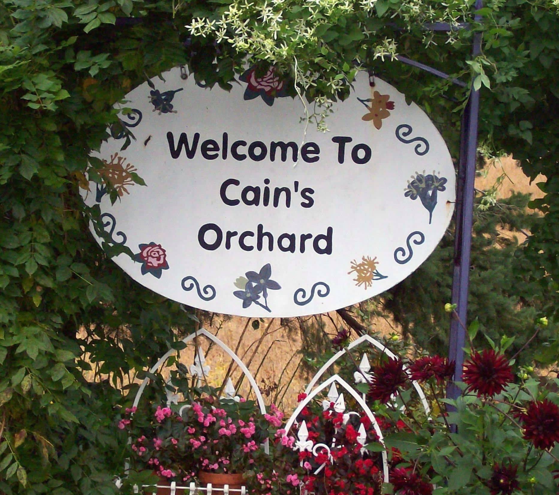 Cain's Orchard Photo