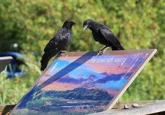 crows