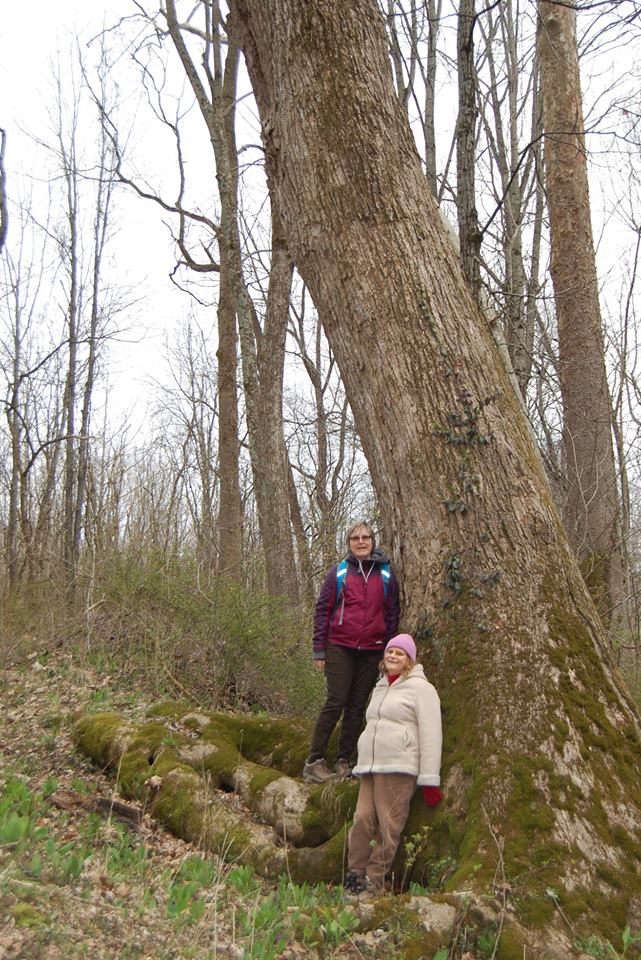 Two women standing next to a large tree on a hike