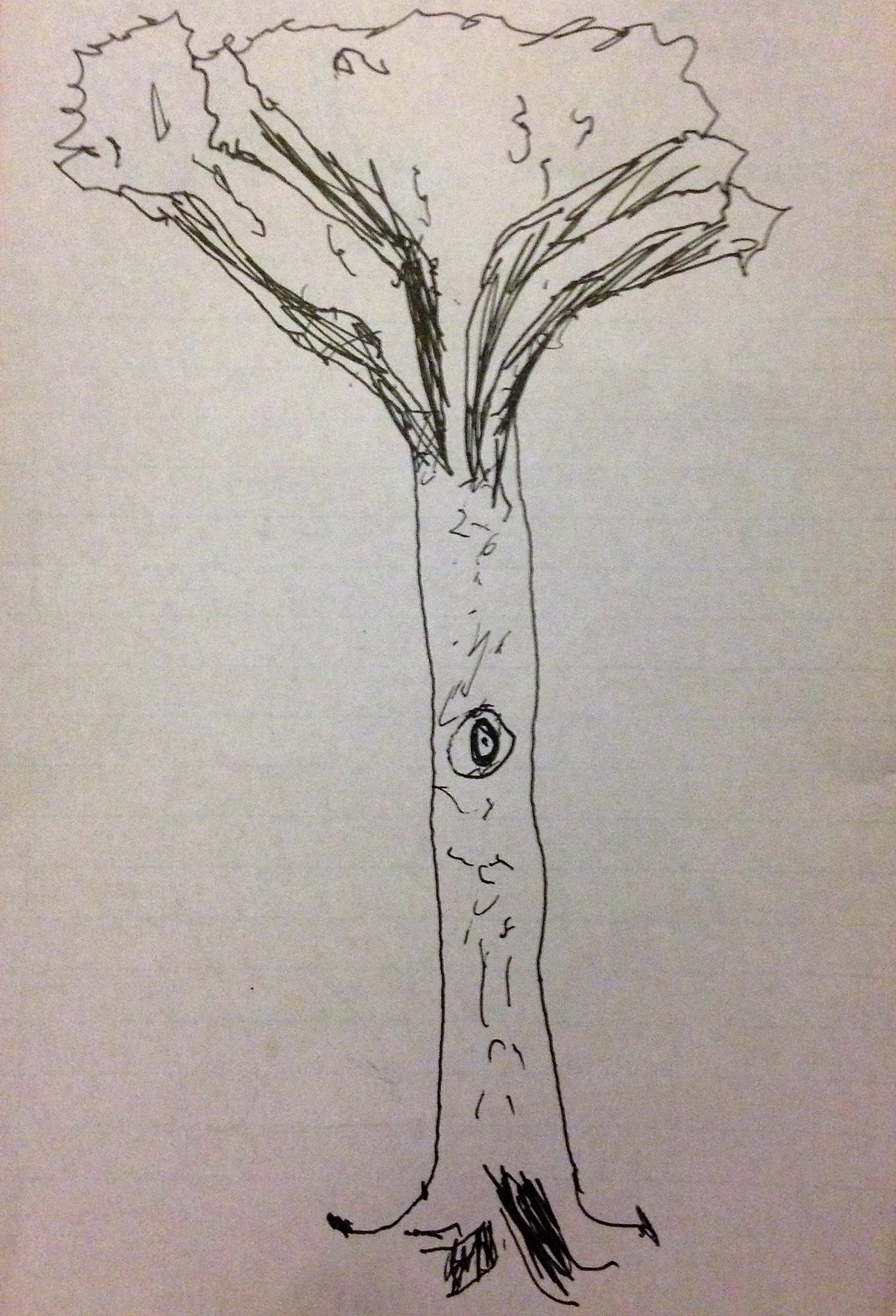 Line drawing of tree by a child