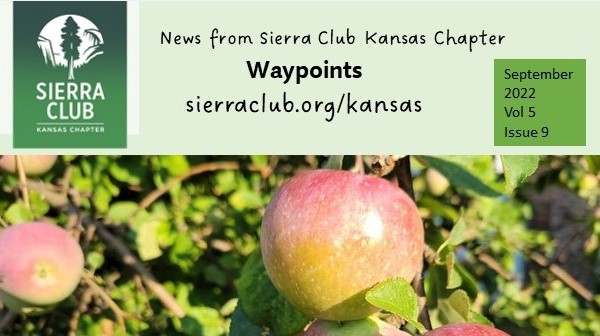 Waypoints Header 9/2022 with closeup photo of apple tree