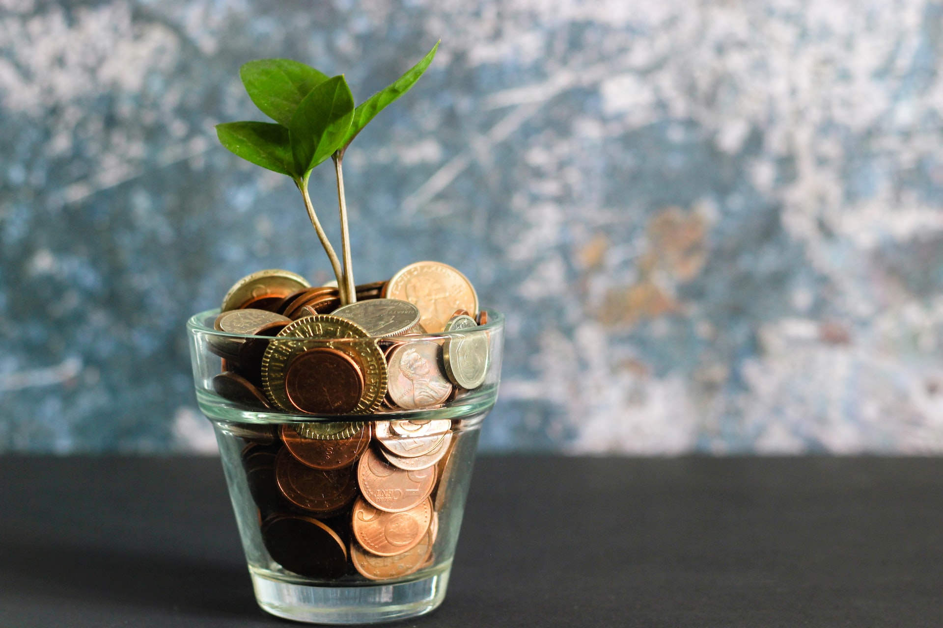 glass flowerpot with green plant set in metal coins