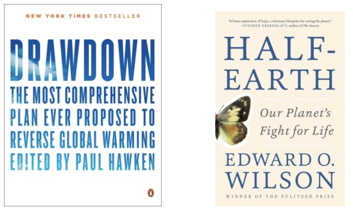 Drawdown and Half-Earth