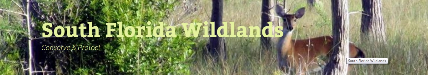 South Florida Wildlands Association South Florida Wildlands Association