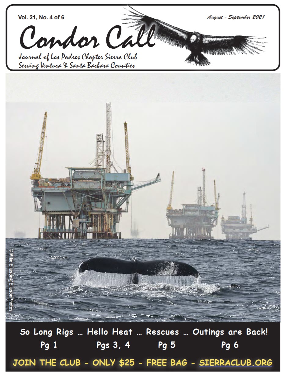 June-July 2021 Condor Call
