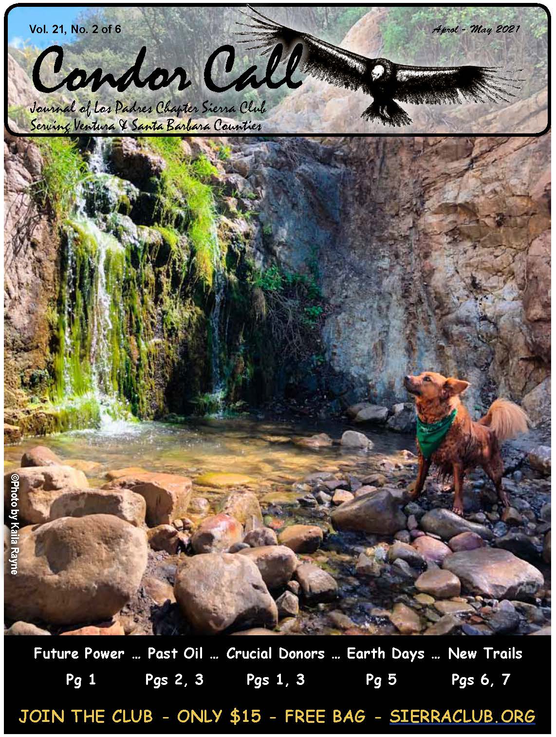 April-May 2021 Condor Call