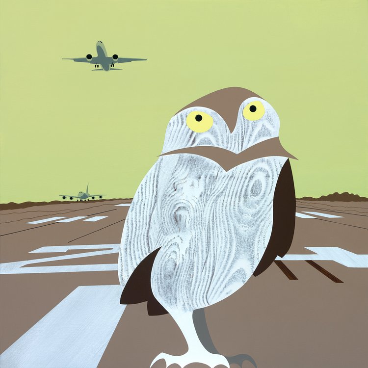 Burrowing Owl at LAX