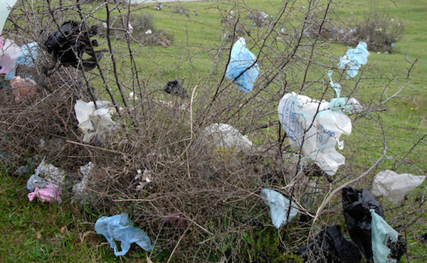 plastic bag litter