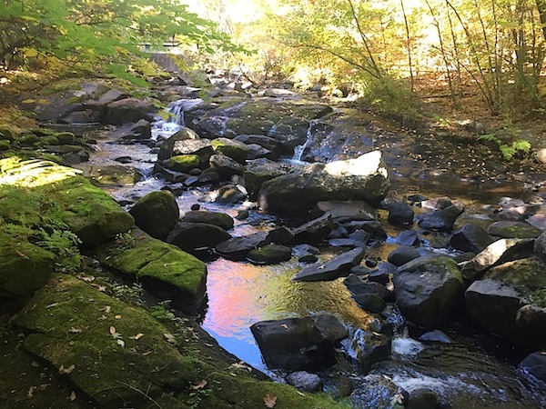 Clean water stream