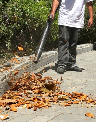 Gas powered leaf blower