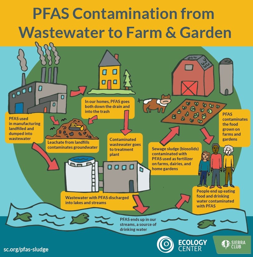 PFAS Contamination infographic