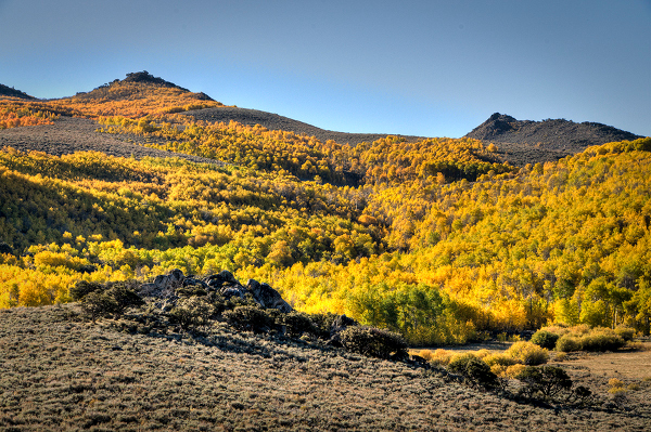 Alder Creek Wilderness in the Pine Forest Range, Humboldt County. Credit Brian Beffort
