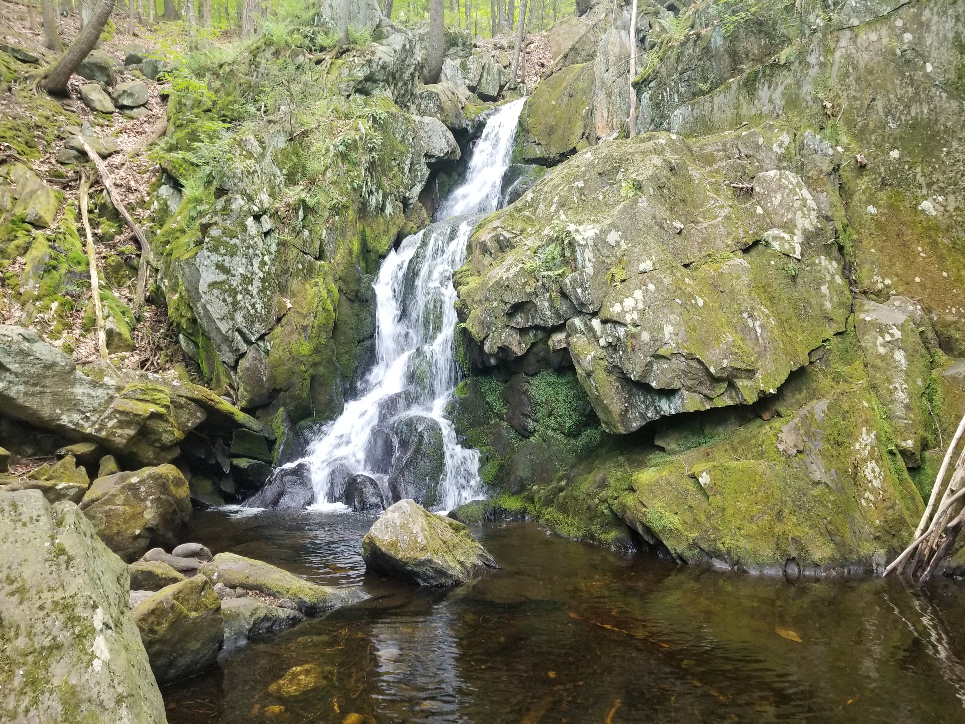 Water falling into a pool below a rock face