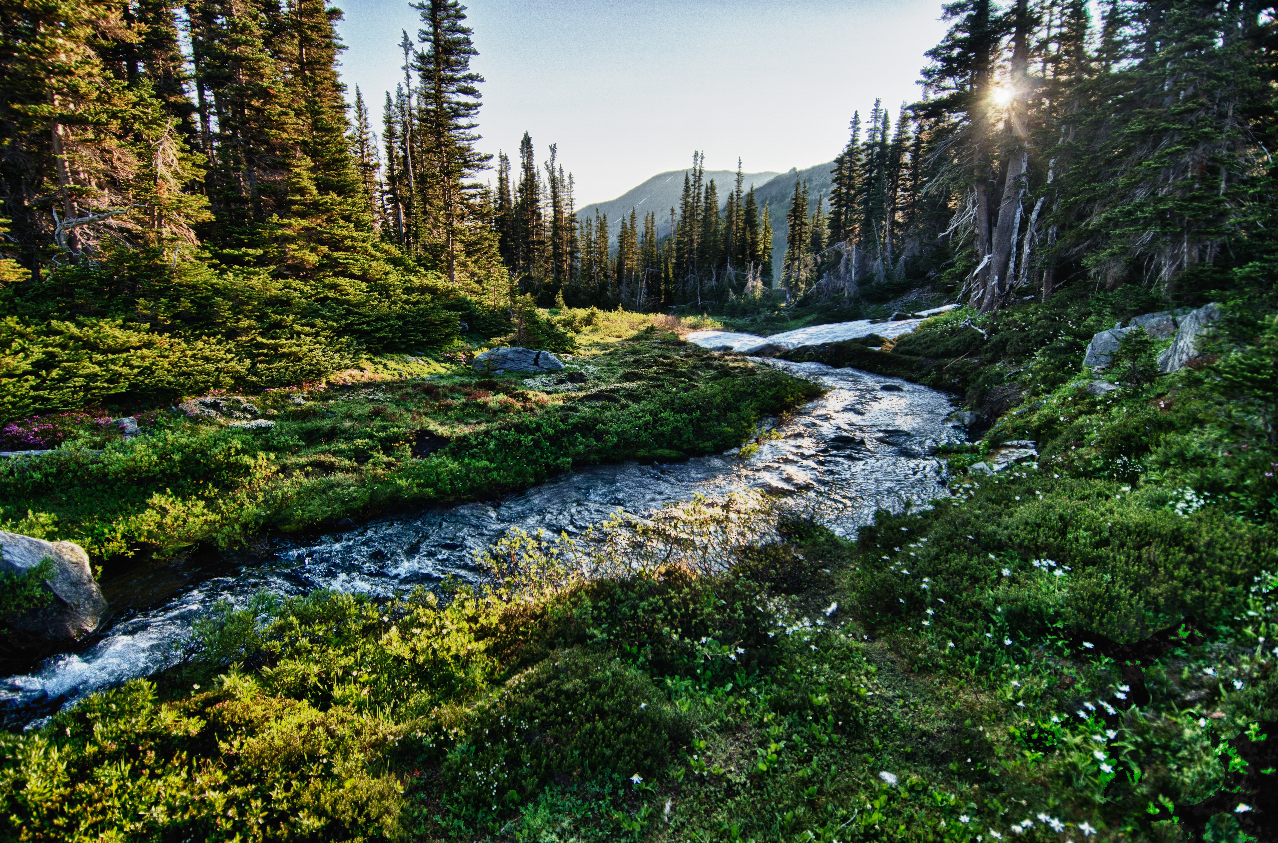 Olympic National Park, Port Angeles, United States - Morning Light