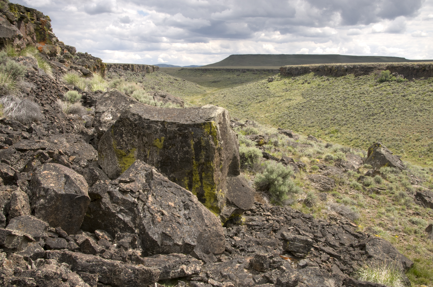 Rugged canyons in the Sheldon Refuge