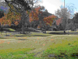 Golf Course