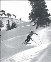 Walter Mosauer