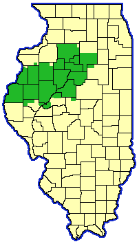 HOI Group Area