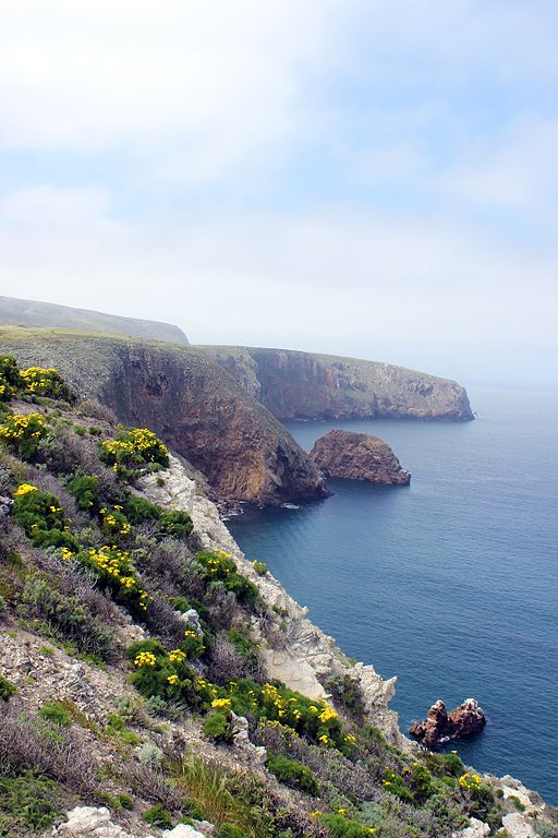 Santa Cruz Island