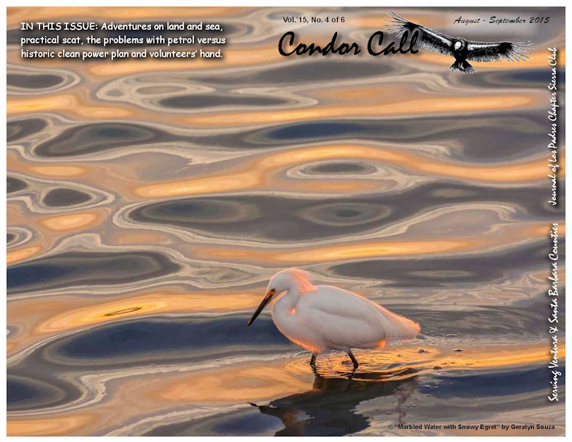 CONDOR CALL COVER