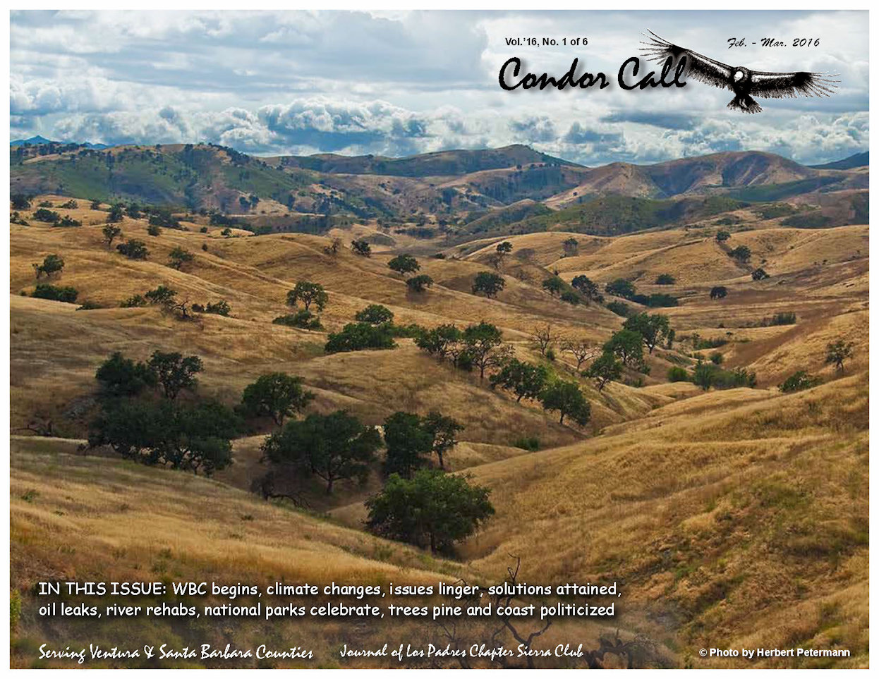 Condor Call Feb March 2016