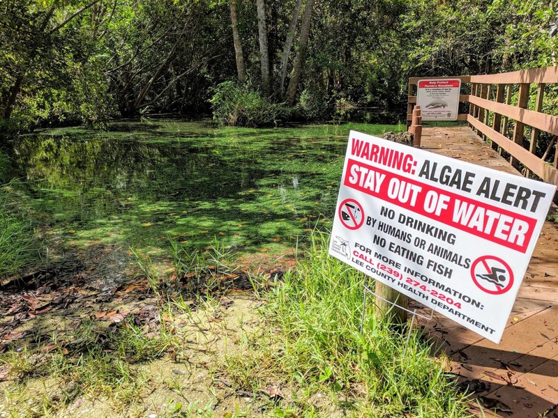 Calusa Waterkeeper