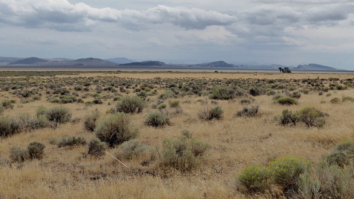 The north edge of the Alvord Desert, a big alkali flat, stretches across the middle of the picture