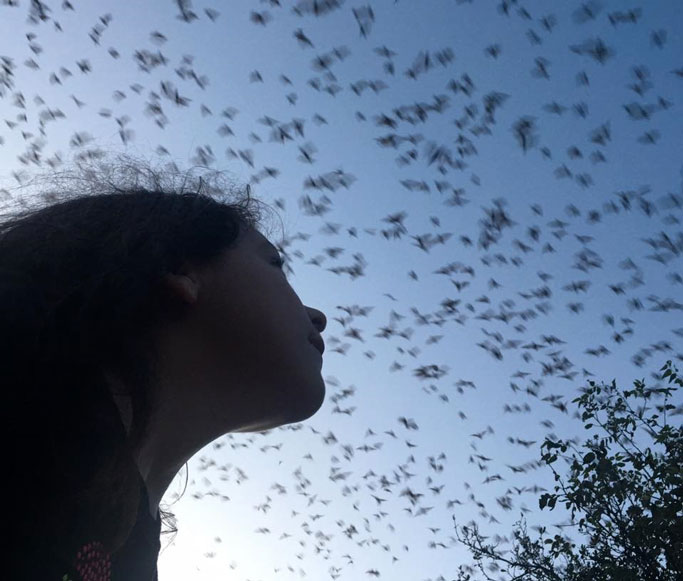 A girl gazes in wonder at bats in the sky